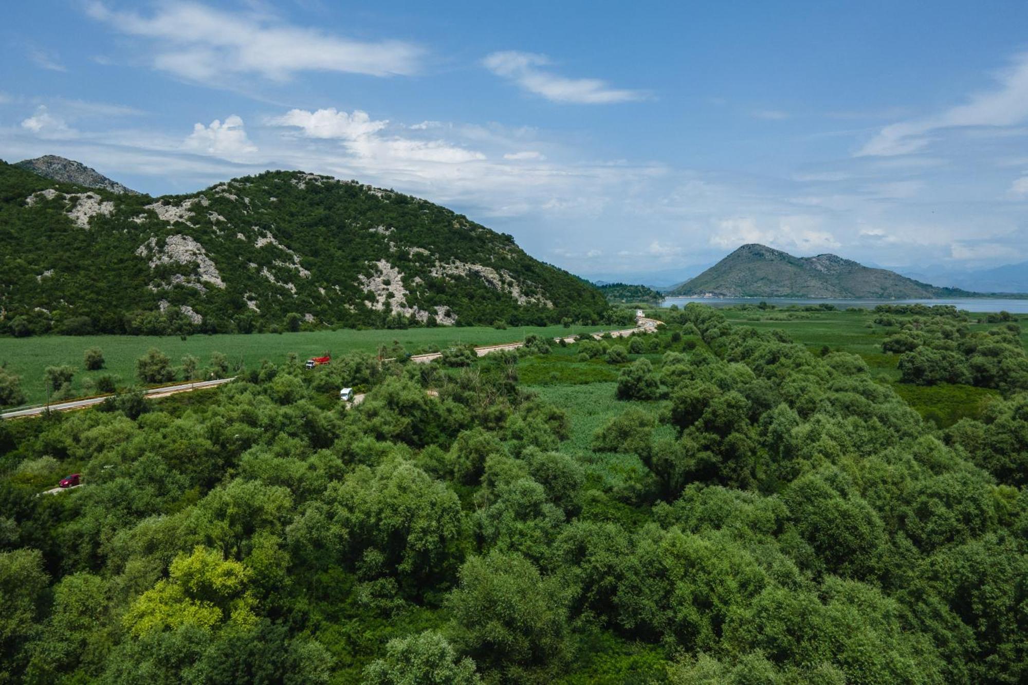 Green Hill Вірпазар Екстер'єр фото